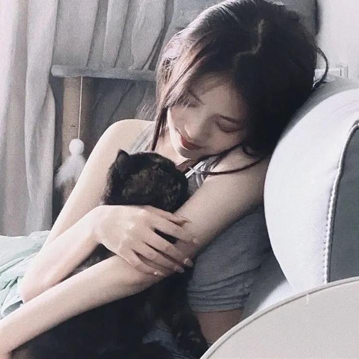 彗星美人